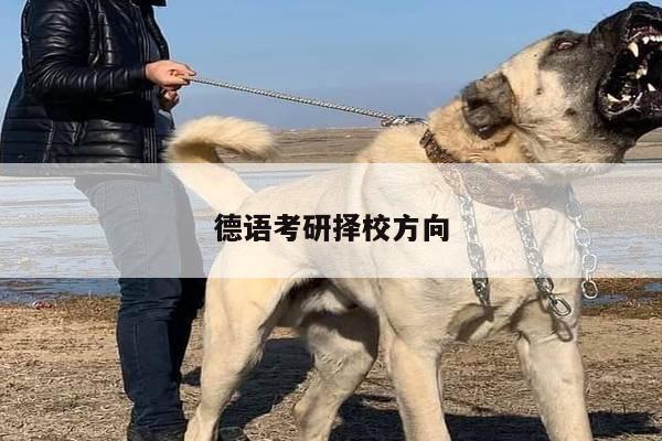 德语考研择校方向