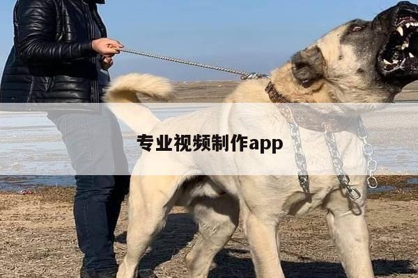 专业视频制作app