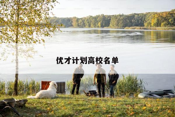 优才计划高校名单