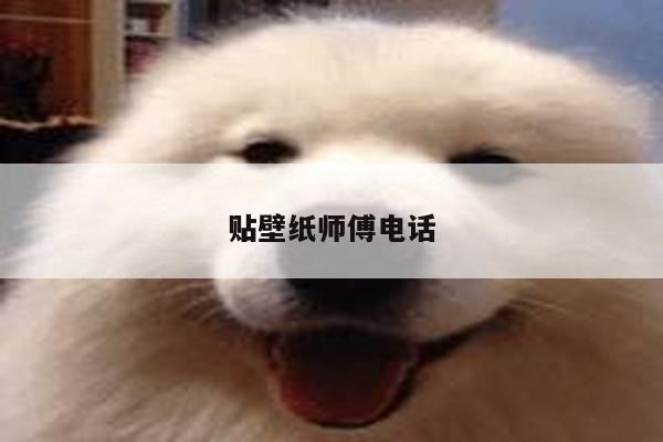 贴壁纸师傅电话