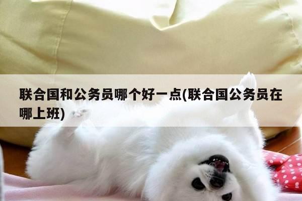 联合国和公务员哪个好一点(联合国公务员在哪上班)