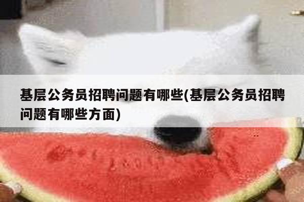 基层公务员招聘问题有哪些(基层公务员招聘问题有哪些方面)