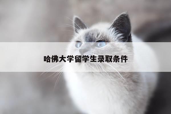 哈佛大学留学生录取条件