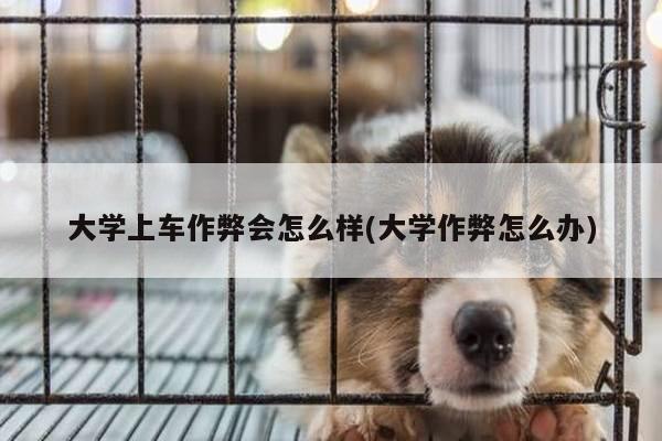 大学上车作弊会怎么样(大学作弊怎么办)