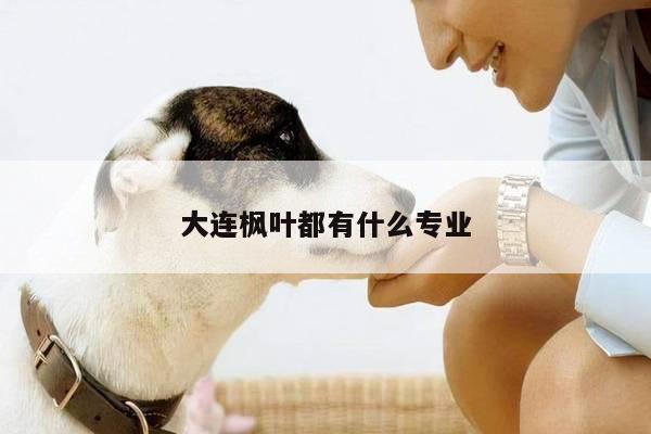 大连枫叶都有什么专业