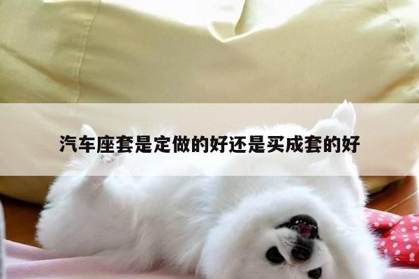汽车座套是定做的好还是买成套的好