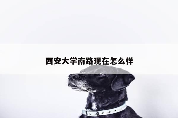 西安大学南路现在怎么样