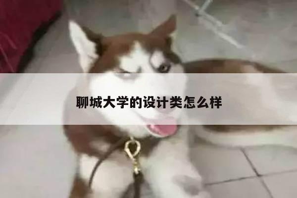 聊城大学的设计类怎么样