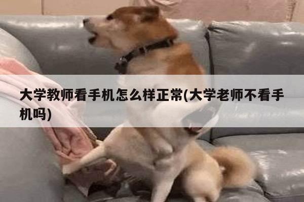 大学教师看手机怎么样正常(大学老师不看手机吗)