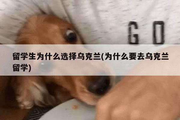 留学生为什么选择乌克兰(为什么要去乌克兰留学)