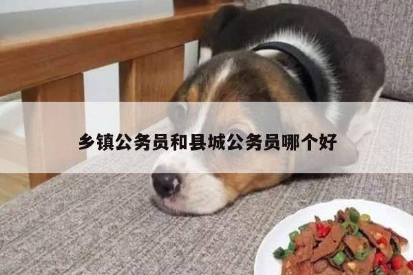 乡镇公务员和县城公务员哪个好