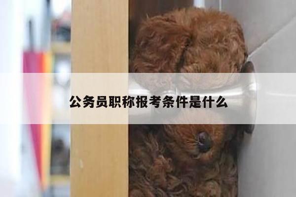 公务员职称报考条件是什么