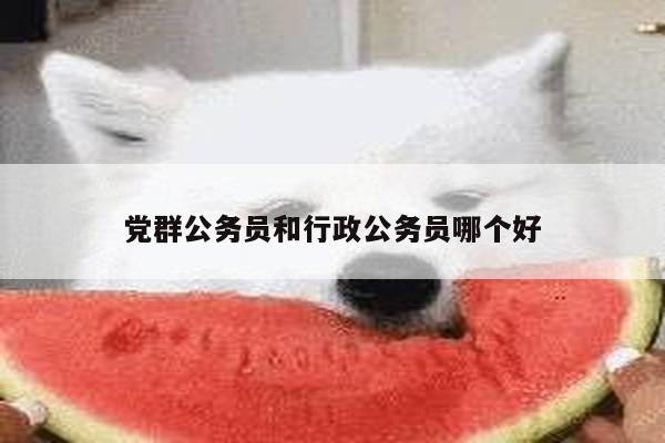党群公务员和行政公务员哪个好