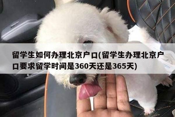 留学生如何办理北京户口(留学生办理北京户口要求留学时间是360天还是365天)