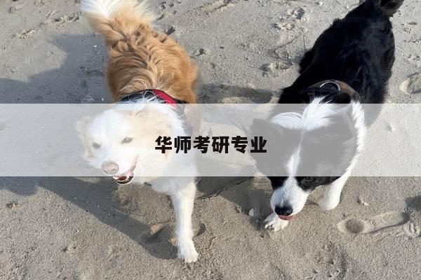 华师考研专业
