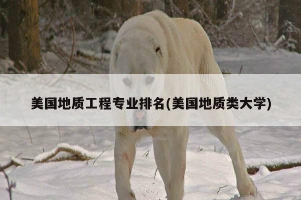 美国地质工程专业排名(美国地质类大学)