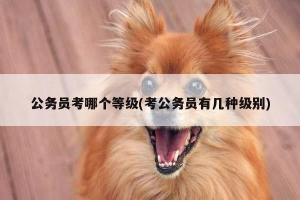 公务员考哪个等级(考公务员有几种级别)