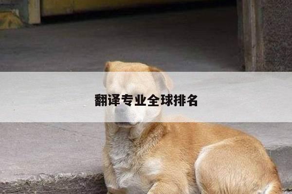 翻译专业全球排名