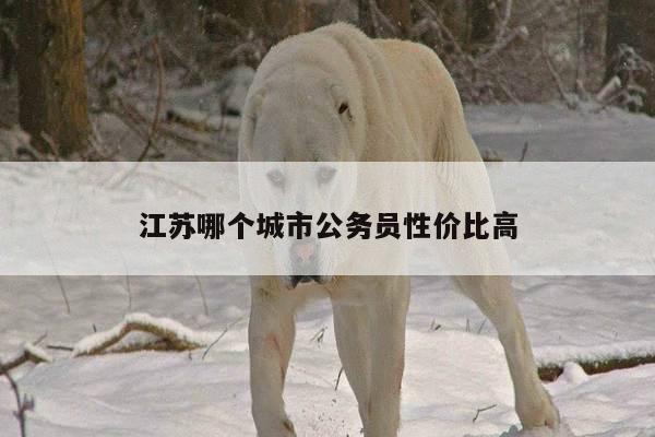 江苏哪个城市公务员性价比高