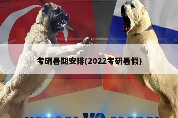 考研暑期安排(2022考研暑假)