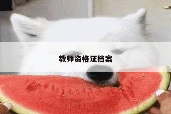教师资格证档案
