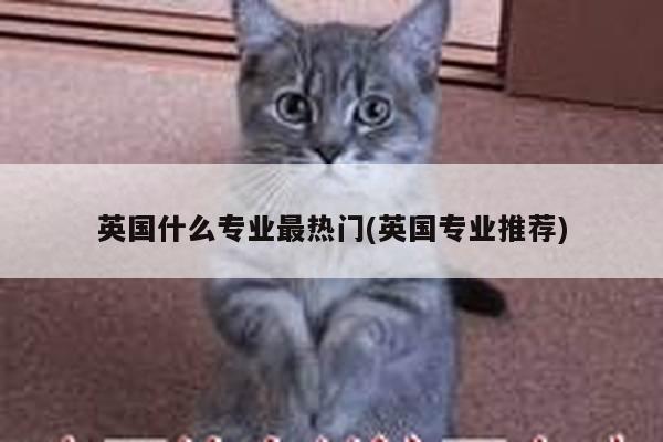 英国什么专业最热门(英国专业推荐)