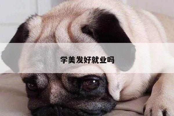 学美发好就业吗