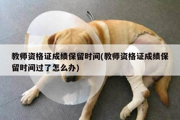 教师资格证成绩保留时间(教师资格证成绩保留时间过了怎么办)