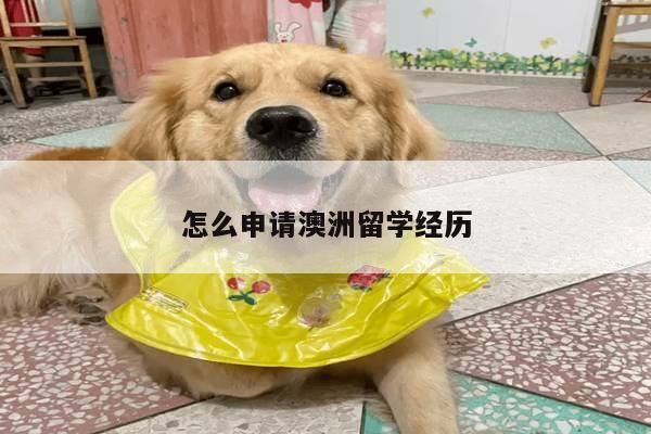 怎么申请澳洲留学经历