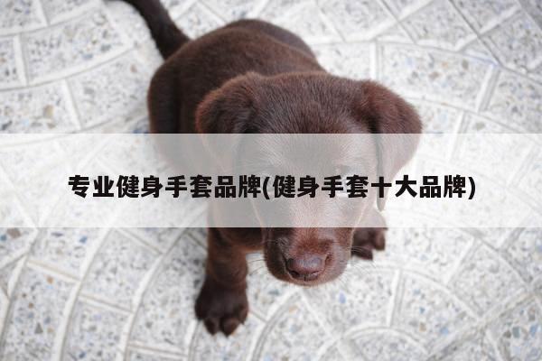 专业健身手套品牌(健身手套十大品牌)