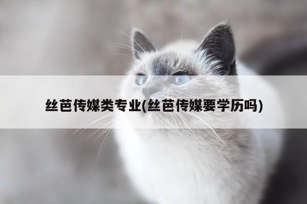 丝芭传媒类专业(丝芭传媒要学历吗)