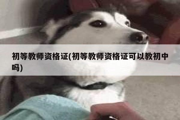 初等教师资格证(初等教师资格证可以教初中吗)