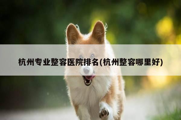 杭州专业整容医院排名(杭州整容哪里好)