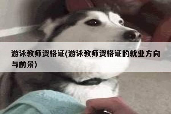 游泳教师资格证(游泳教师资格证的就业方向与前景)