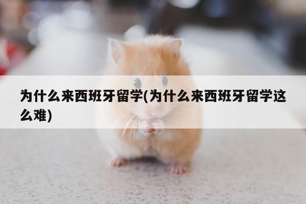 为什么来西班牙留学(为什么来西班牙留学这么难)