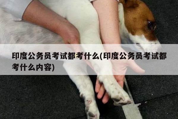 印度公务员考试都考什么(印度公务员考试都考什么内容)