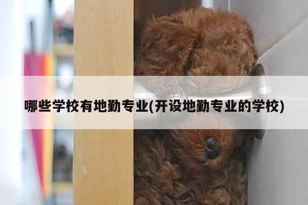 哪些学校有地勤专业(开设地勤专业的学校)