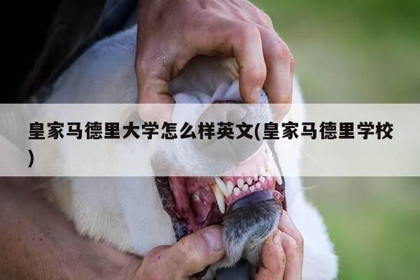 皇家马德里大学怎么样英文(皇家马德里学校)