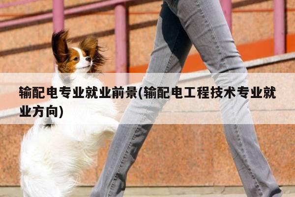 输配电专业就业前景(输配电工程技术专业就业方向)