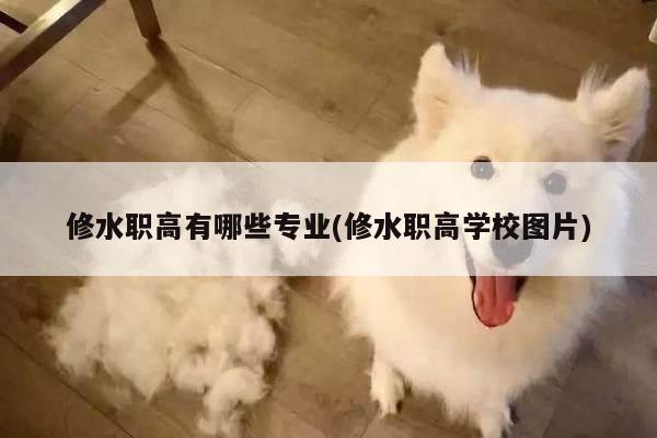 修水职高有哪些专业(修水职高学校图片)