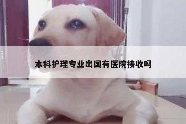 本科护理专业出国有医院接收吗
