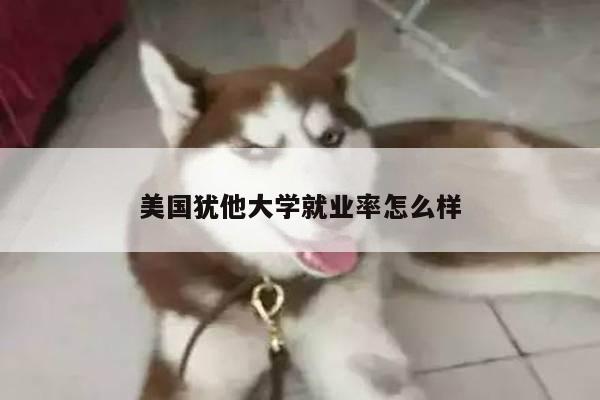 美国犹他大学就业率怎么样