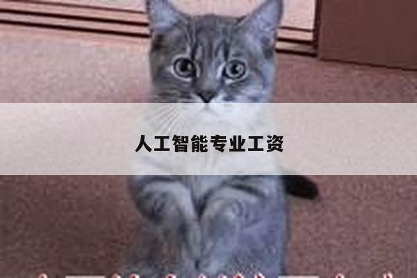 人工智能专业工资