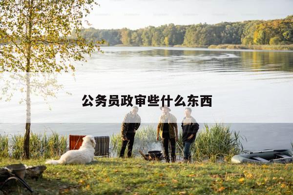 公务员政审些什么东西