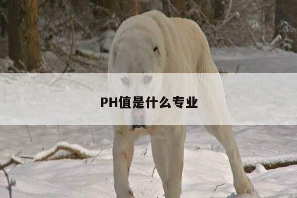 PH值是什么专业