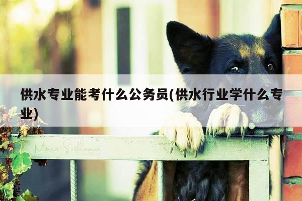 供水专业能考什么公务员(供水行业学什么专业)