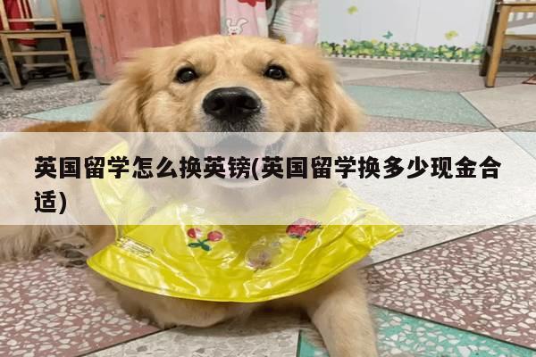 英国留学怎么换英镑(英国留学换多少现金合适)