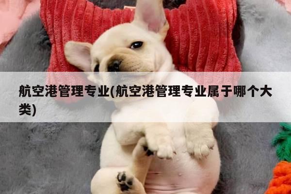 航空港管理专业(航空港管理专业属于哪个大类)