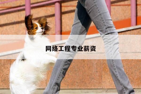 网络工程专业薪资