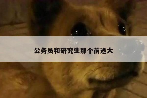 公务员和研究生那个前途大